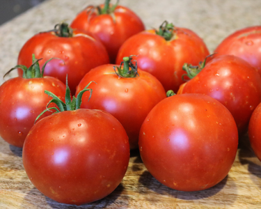 Burpee's Big Boy Hybrid Tomato Seeds